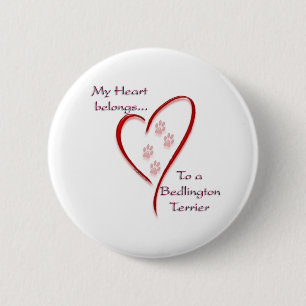 Bedlington Terrier Heart Tillhör Knapp