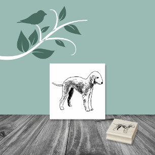 Bedlington Terrier Hund aveln Stämpel