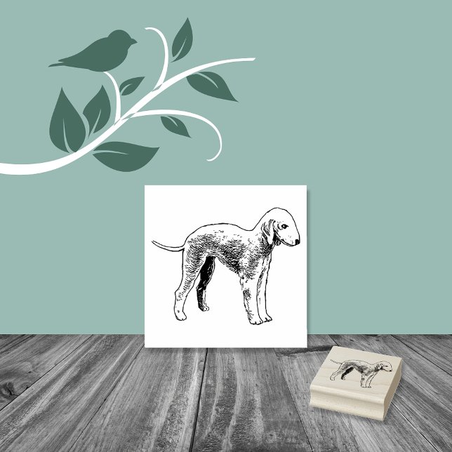 Bedlington Terrier Hund aveln Stämpel (Skapare uppladdad)