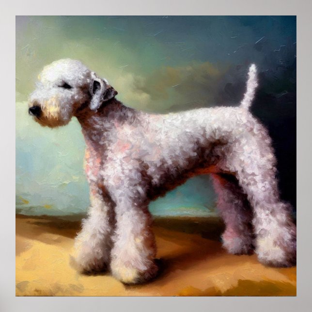 Bedlington Terrier Hund Poster (Framsidan)