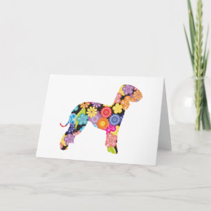 Bedlington Terrier Kort