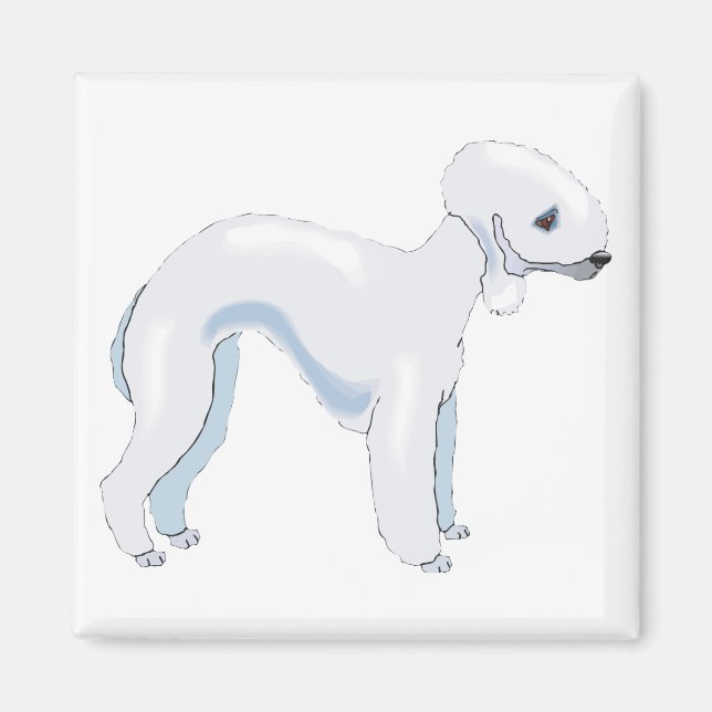 Bedlington Terrier Magnet (Framsidan)