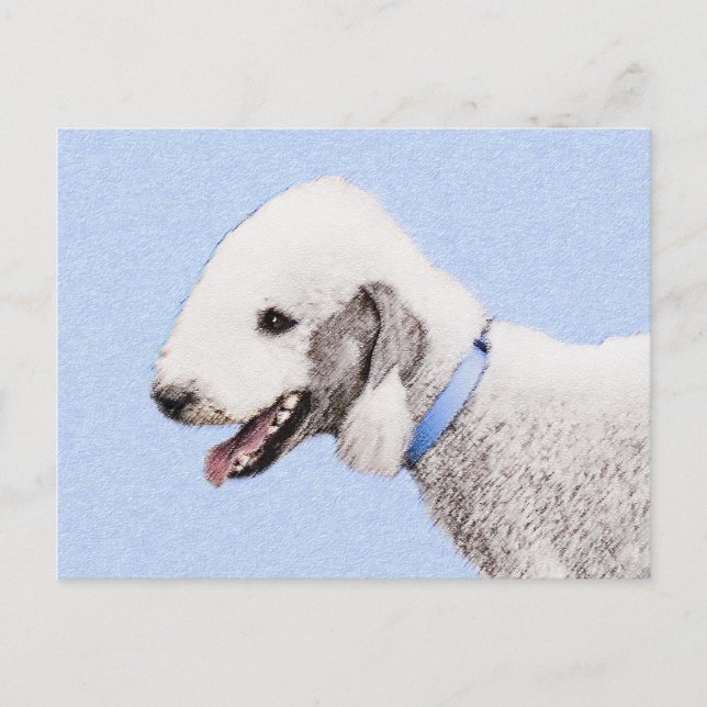Bedlington Terrier-målning - Original Hund Art Vykort (Framsida)