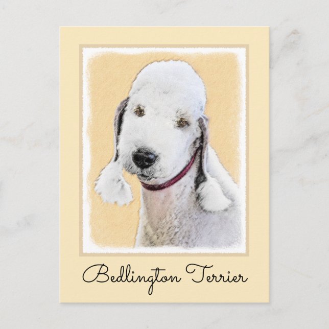 Bedlington Terrier-målning - Original Hund Art Vykort (Framsida)