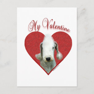 Bedlington Terrier min valentin Helg Vykort