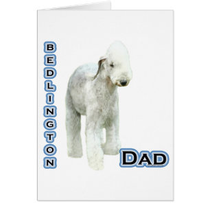 Bedlington Terrier Pappa 4 Hälsningskort