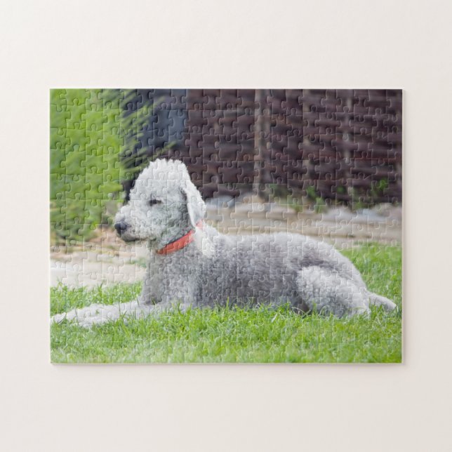 Bedlington Terrier Pussel (Horisontell)