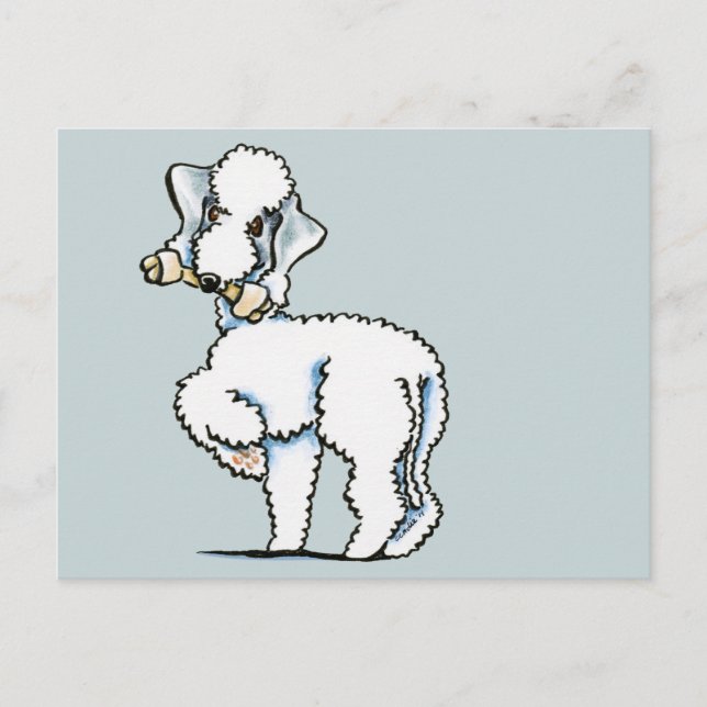 Bedlington Terrier Rosie Vykort (Framsida)