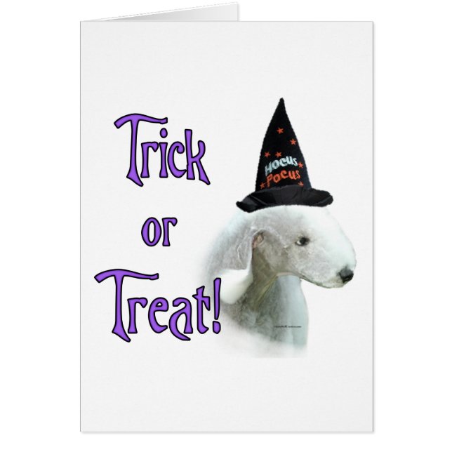 Bedlington Terrier Trick Hälsningskort (Framsidan)