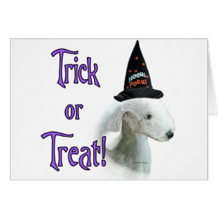 Bedlington Terrier Trick Hälsningskort