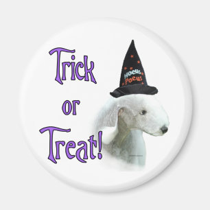 Bedlington Terrier Trick Magnet