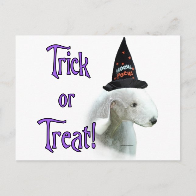 Bedlington Terrier Trick Vykort (Framsida)