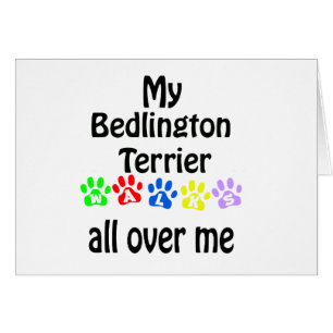 Bedlington Terrier Walks Design Hälsningskort