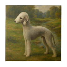 Bedlingtonterrier