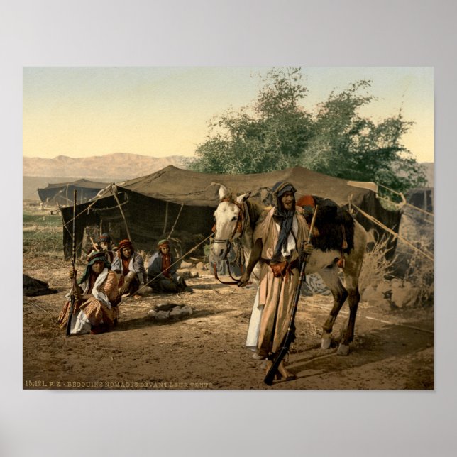 Bedouin Tält i Heligan Poster (Framsidan)