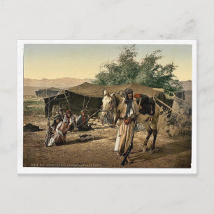Bedouins och deras tält, Heliga Land sällsynt Phot Vykort