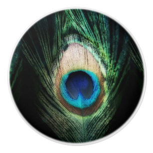 Bedöva den svart påfågeln knopp