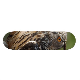 Bedöva örnugglan med orange ögon old school skateboard bräda 21,6 cm