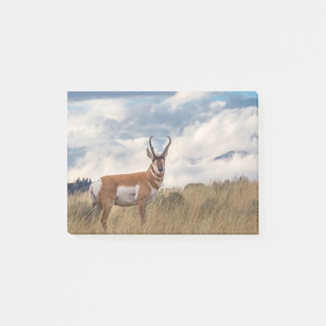 Bedöva Pronghorn Post-it Block (Framsida)