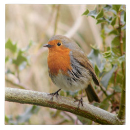 Bedöva Robin Kakelplatta