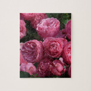 Bedöva rosa ros pussel