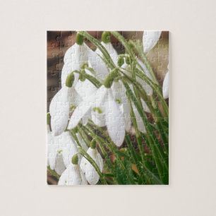 Bedöva Snowdrops Pussel