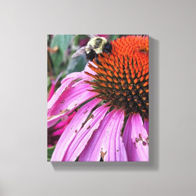 Bee and Coneflower Faux Wrapped Canvas Print (Framsida)