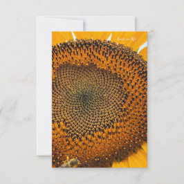 Bee Antennas och Solros Anteckningskort
