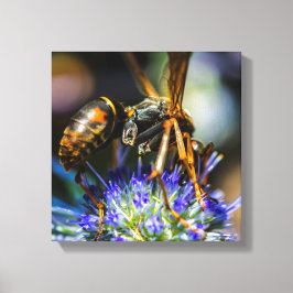 Bee Aware 12" x 12", 1,5", Enkel inslagen canvas