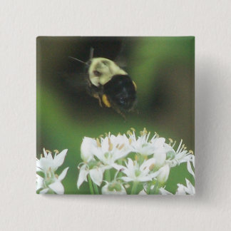 Bee Away Knapp