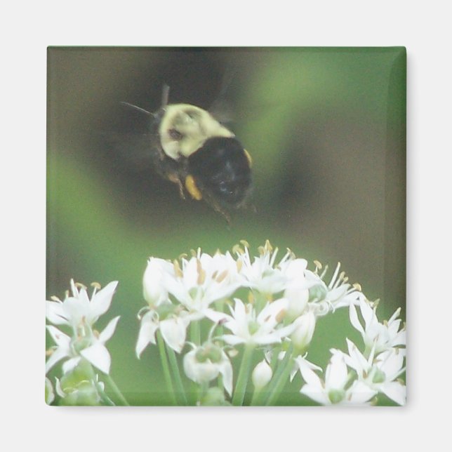 Bee Away Magnet (Framsidan)