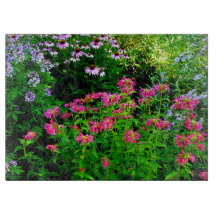 Bee Balm