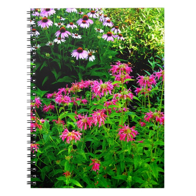 Bee Balm Anteckningsbok (Framsidan)