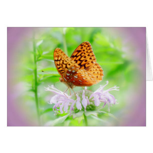 Bee Balm Butterfly - Fritillary Hälsningskort