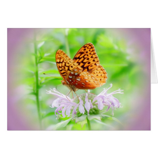 Bee Balm Butterfly - Fritillary Hälsningskort (Framsidan Horizontal)