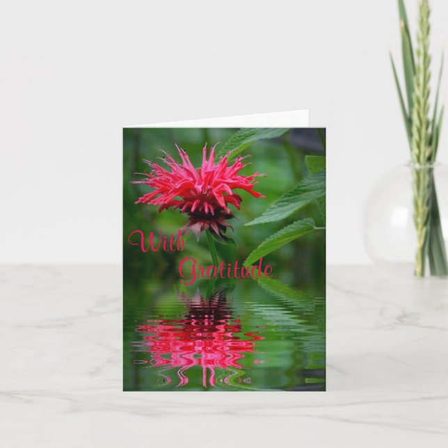 Bee Balm Reflection (tack för ditt kort) Tack Kort (Framsida)