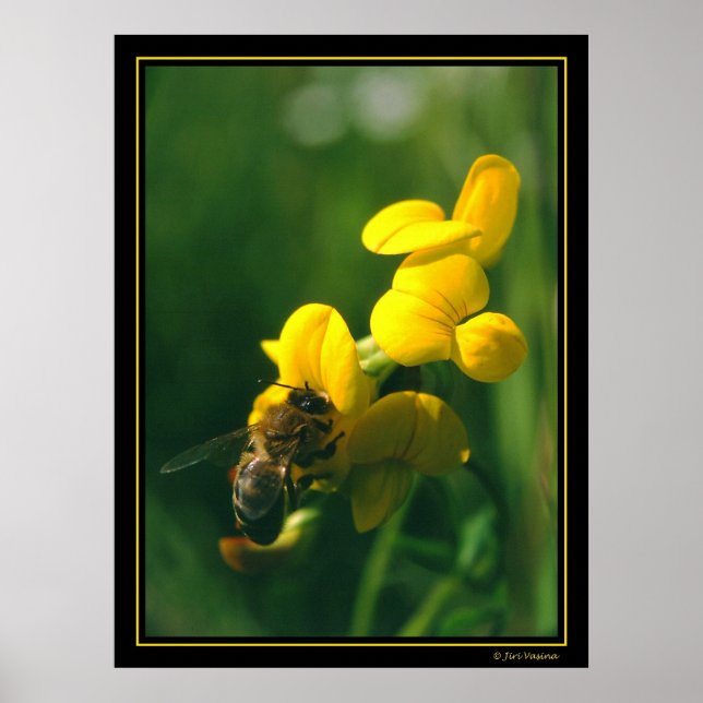 Bee Breakfast Poster (Framsidan)