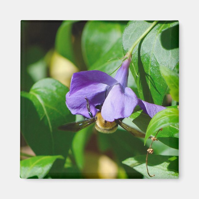 Bee Busy Magnet (Framsidan)