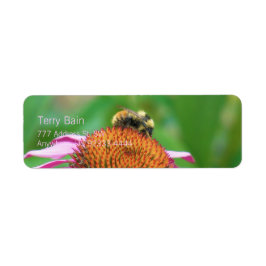 Bee Echinacea Returadress Etikett