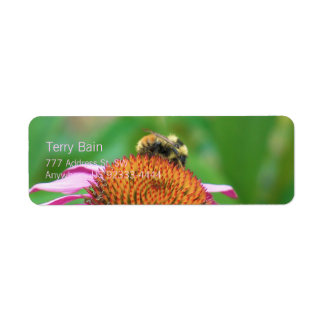 Bee Echinacea Returadress Etikett