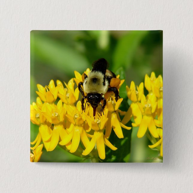 Bee Feasting on Butterfly Weed Wildflowers Knapp (Framsida)