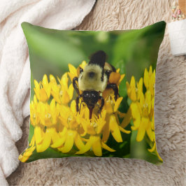 Bee Feasting on Butterfly Weed Wildflowers Kudde