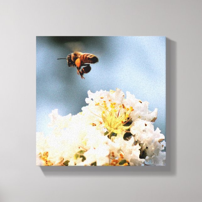Bee Floral  Canvas Print (Framsida)