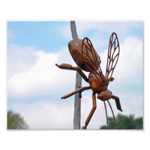 Bee Fototryck