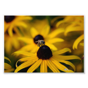 Bee Fototryck