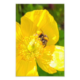Bee Fototryck