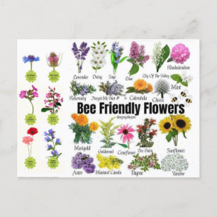 Bee-Friendly Flowers-vykort Vykort