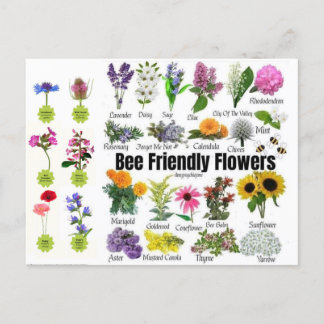 Bee-Friendly Flowers-vykort Vykort