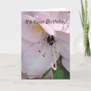Bee Grund Birthday Kort