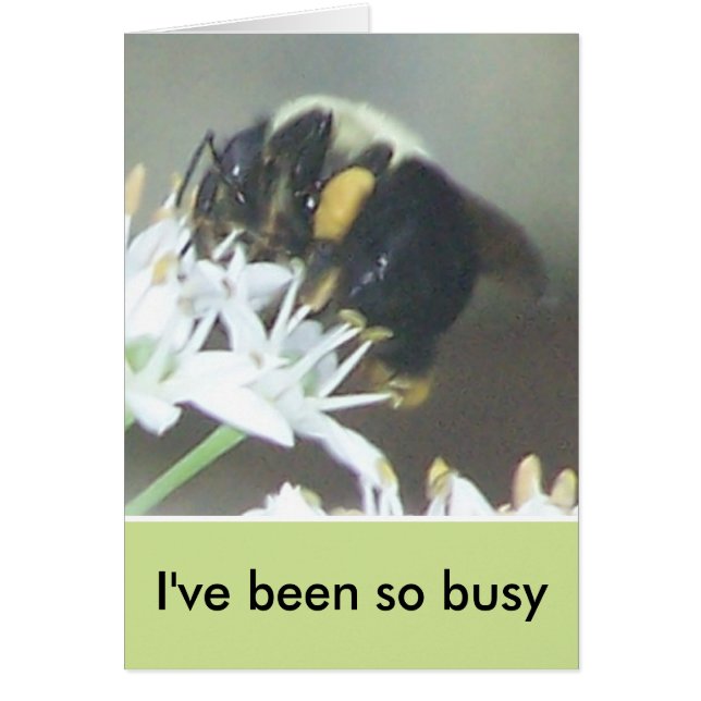 Bee Hälsningskort (Framsidan)